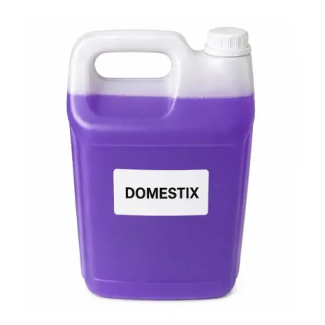 domestix