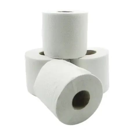 toilet-paper-2-ply-3